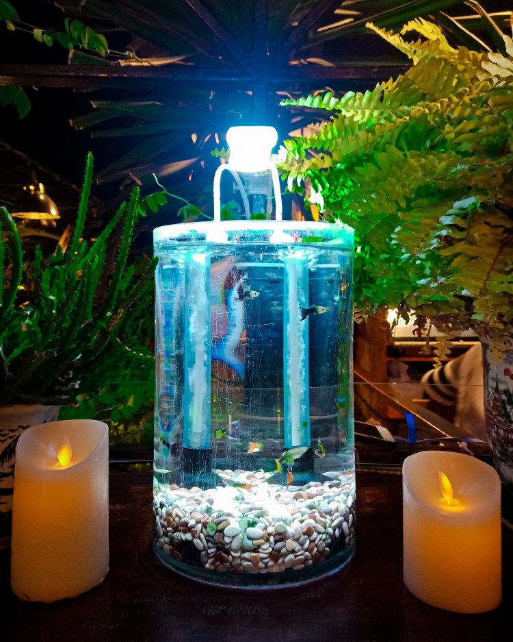 mandys-cafe-dan-woodstork-coffee-padang