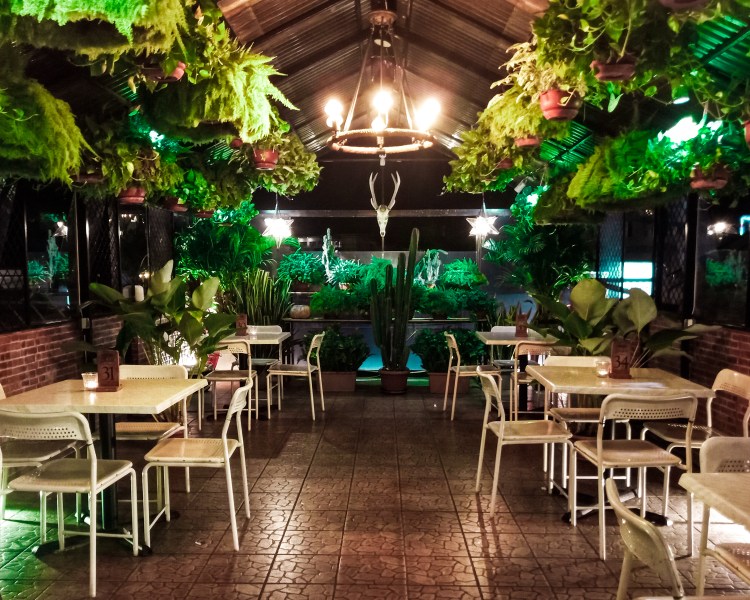 mandys-cafe-dan-woodstork-coffee-padang