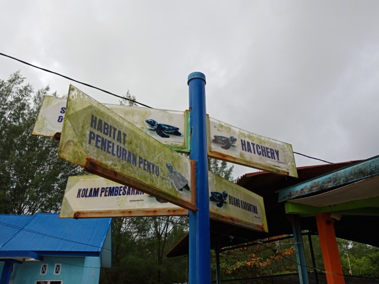 one-day-trip-pariaman-hari-nusantara-2019-di-pantai-gandoriah